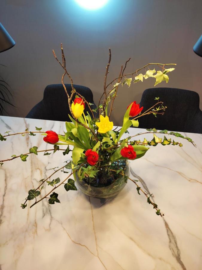 Nino Luxury Apartment Ζάγκρεμπ Εξωτερικό φωτογραφία
